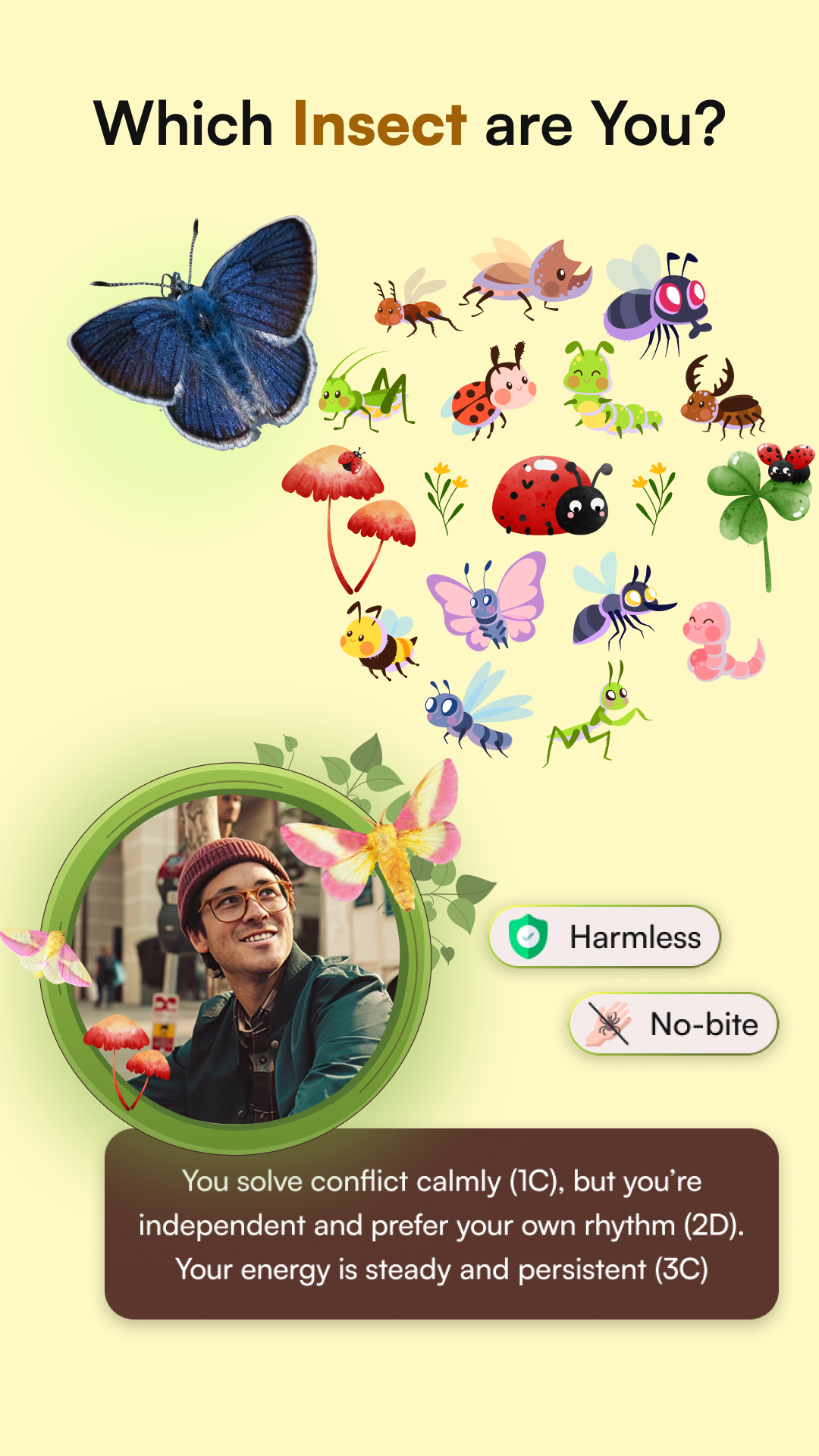 Which Insect are you?