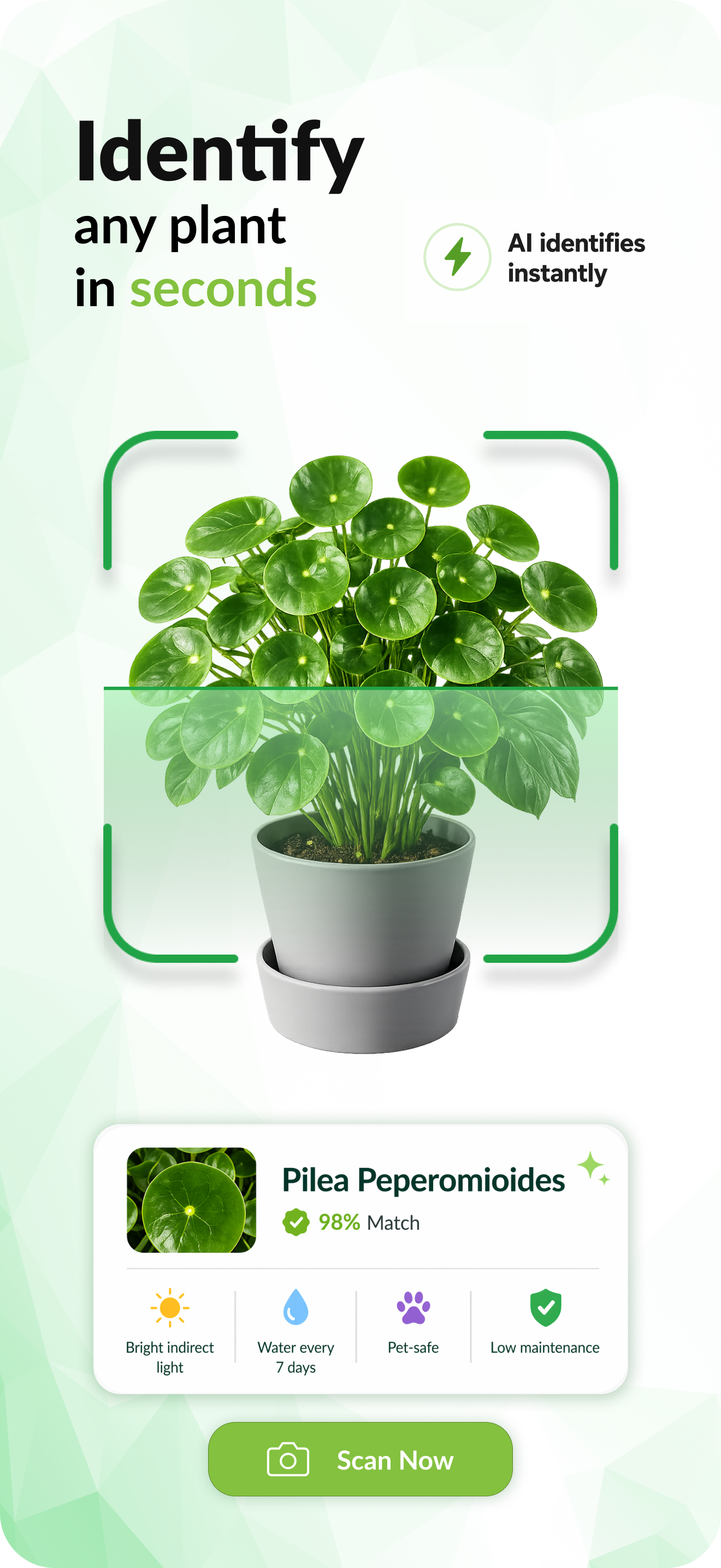 AI plant identification