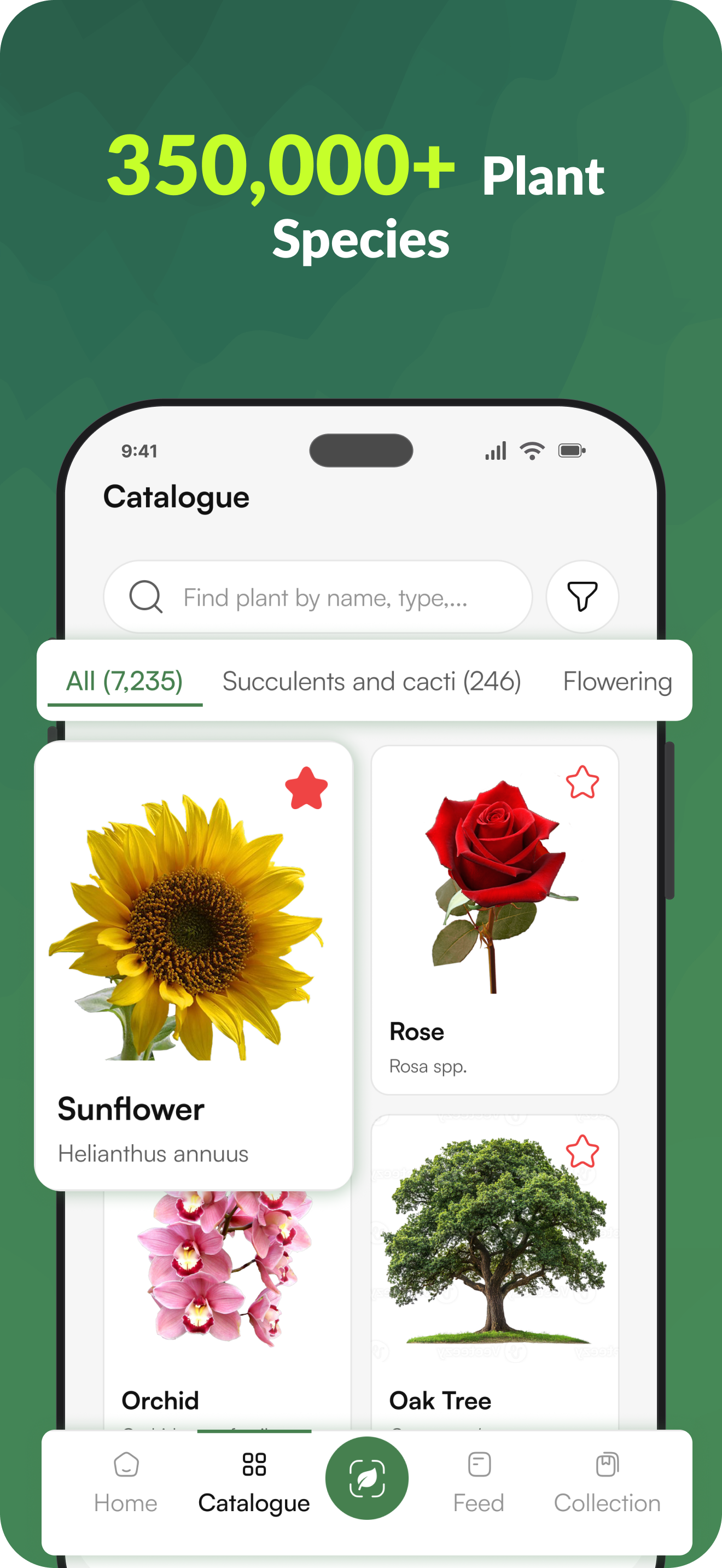 Global Catalogue