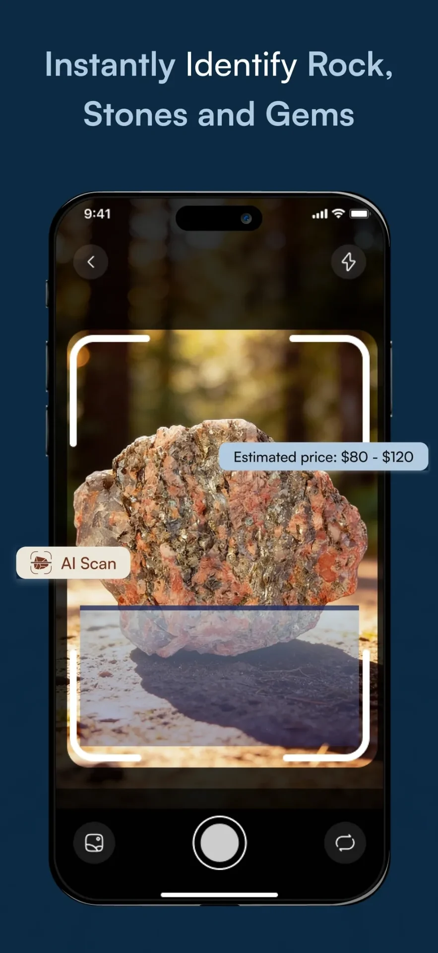 AI Rock Identification