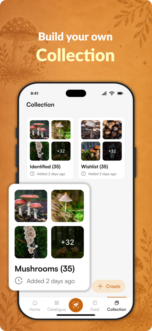 Build your own collection