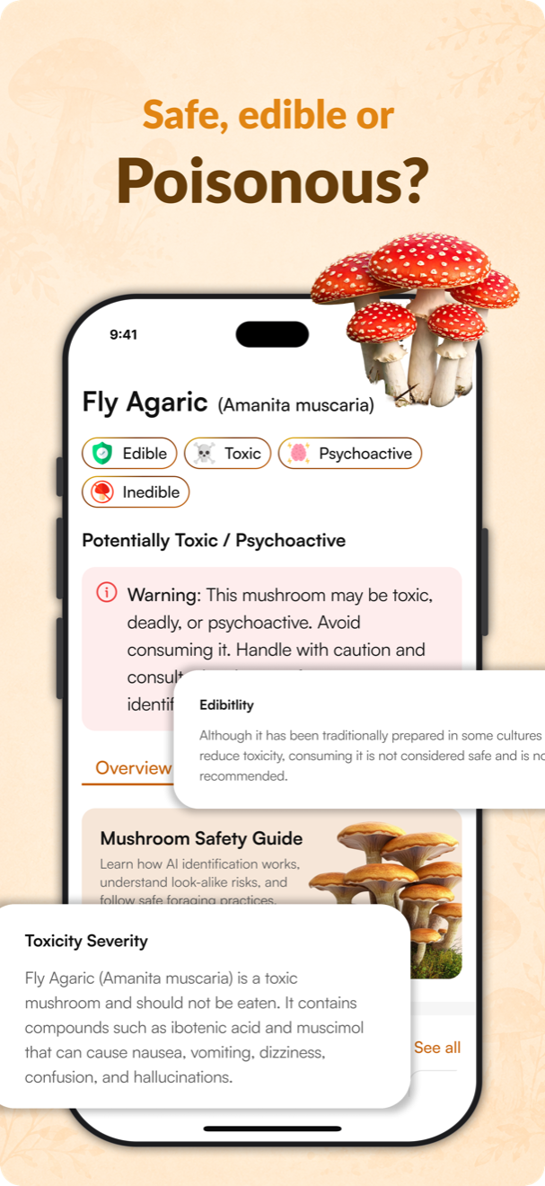 Safety Guide : Safe, edible or poisonous